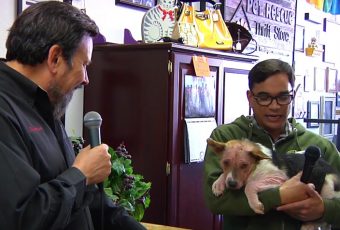 Ron Stark at the Foster Army Animal Rescue